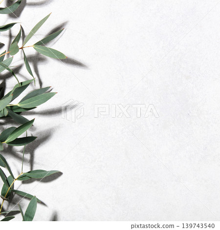 Minimal Botanical Background with Eucalyptus Leaves on Light Surface 139743540