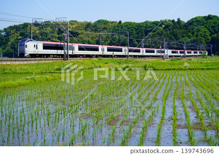 機場快線列車在插秧期間穿過稻田。 機場快線列車在插秧期間穿過稻田。 139743696
