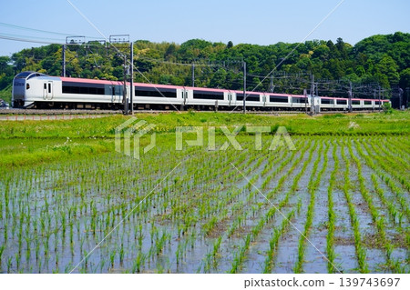 成田快車掠過稻田 139743697
