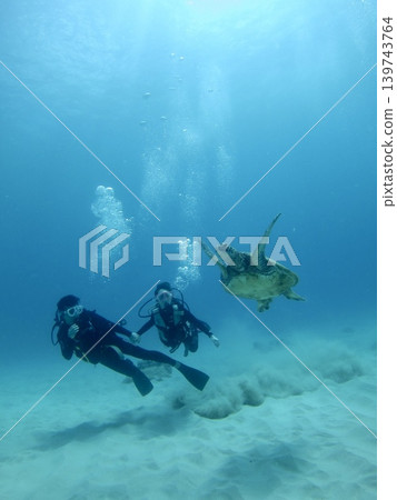 一隻野生海龜和一男一女兩名潛水員在沐浴著夏日陽光的夏威夷海域暢遊 | 度假村廣告、旅遊公關材料、旅遊廣告 139743764