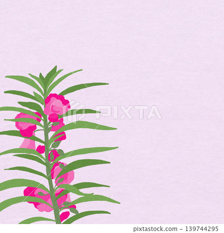 手繪花卉插圖：鳳仙花 139744295