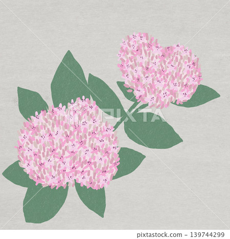 手繪花卉插圖:景天屬植物 手繪花卉插圖:景天屬植物 139744299