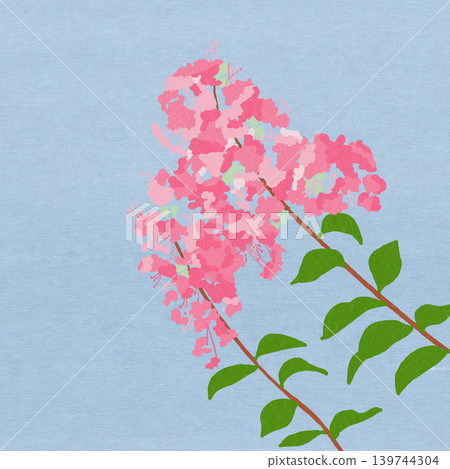 Hand-drawn flower illustration: Crape Myrtle Hand-drawn flower illustration: Crape Myrtle 139744304