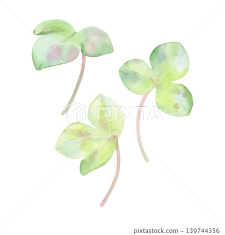 Watercolor set of spring leaves in soft green tones. Hand-painted anemone hepatica, liverwort isolated on white background. Ideal for patterns, stationery, wedding design, packaging and branding 139744356