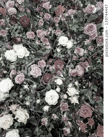 Beautiful rose bouquets with pink and white blooms are arranged among desaturated black and white leaves. The retro style gives a unique artistic touch to the scene. 139744447