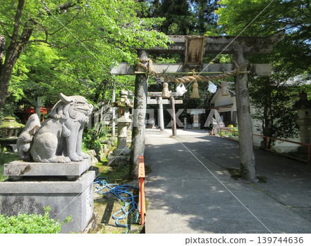 山口縣山口市！高峰稻荷神社的鳥居和守護獅犬。 139744636
