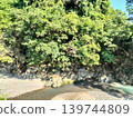 Countryside mountain scenery 139744809