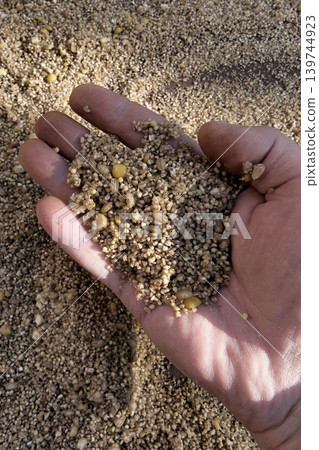 A hand holds a mix of small grains and sand in a bright natural setting. The grains show different sizes and colors, resting in the palm 139744923