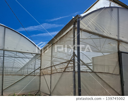 Wide view of large agricultural greenhouses covered with translucent plastic sheets. The scene shows the structures under a clear blue sky with some clouds. It is a sunny day. Wide view of large agricultural greenhouses covered with translucent plastic sheets. The scene shows the structures under a clear blue sky with some clouds. It is a sunny day. 139745002