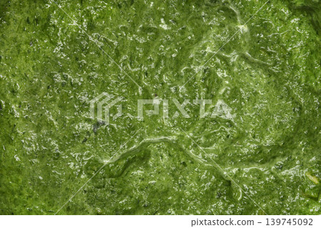 Close up of pureed spinach texture Close up of pureed spinach texture 139745092