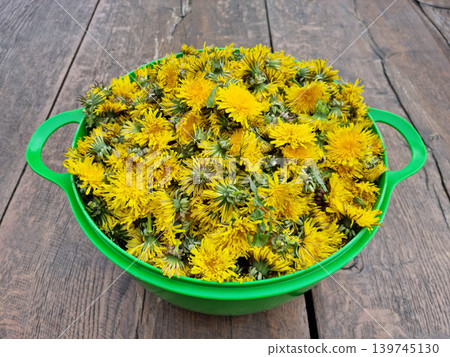 Green Bowl Filled with Yellow Dandelion Blossoms Green Bowl Filled with Yellow Dandelion Blossoms 139745130