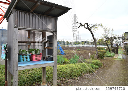 岩槻週邊散步:岩槻區大字表慈恩寺無人直營店 岩槻週邊散步:岩槻區大字表慈恩寺無人直營店 139745720
