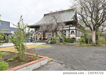 岩槻漫步:淨源寺(曹洞宗禪宗)-正殿 岩槻漫步:淨源寺(曹洞宗禪宗)-正殿 139745728