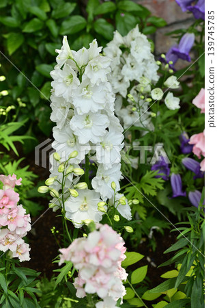 Quiet moments with white flowers 139745785