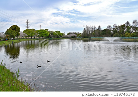岩槻市漫步:慈音寺海濱公園 岩槻市漫步:慈音寺海濱公園 139746178