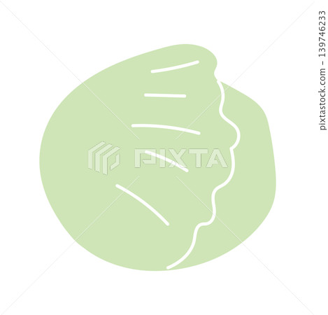 Simple color icon illustration of lettuce Simple color icon illustration of lettuce 139746233