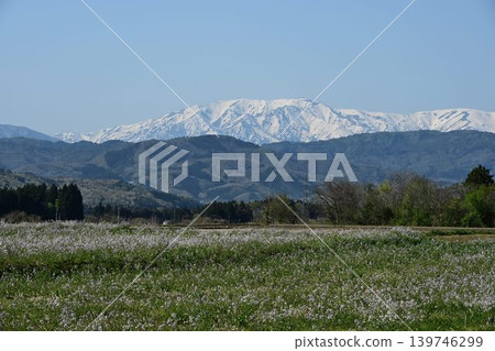 Snow still remains on the Iide mountain range in early spring, as seen from Kitakata. 139746299