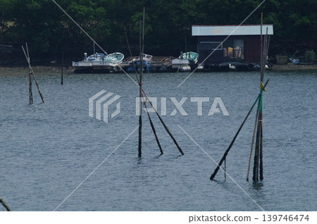 In the summer, people are fishing from rafts offshore on the Shima Peninsula in Mie Prefecture. Rice harvesting is also taking place in the paddies. 139746474
