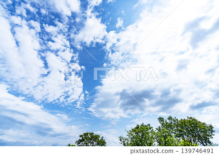 Springtime blue sky, clouds, and fresh green leaves 139746491