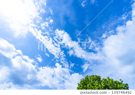 Springtime blue sky, clouds, and fresh green leaves Springtime blue sky, clouds, and fresh green leaves 139746492