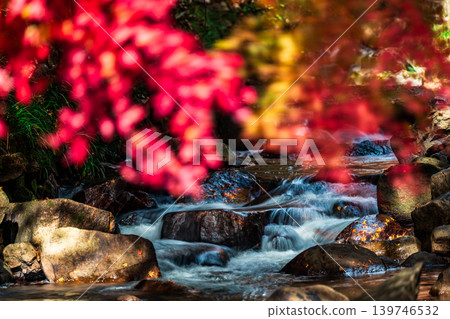 豪溪峽谷：晚秋的陽光、紅葉和溪流 14，岡山縣總社市 139746532
