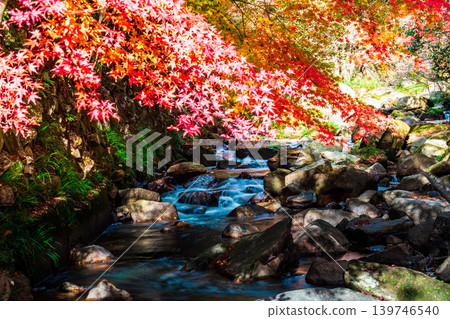 豪溪峽谷：晚秋陽光、紅葉與溪流 6，岡山縣總社市 139746540