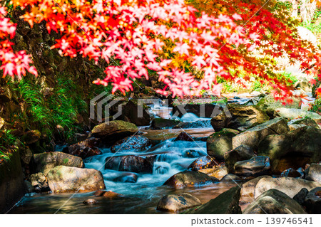 豪溪峽谷:晚秋的陽光、紅葉與溪流(5)-岡山縣總社市 豪溪峽谷:晚秋的陽光、紅葉與溪流(5)-岡山縣總社市 139746541