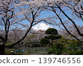 Sakura and Mt. Fuji 139746556