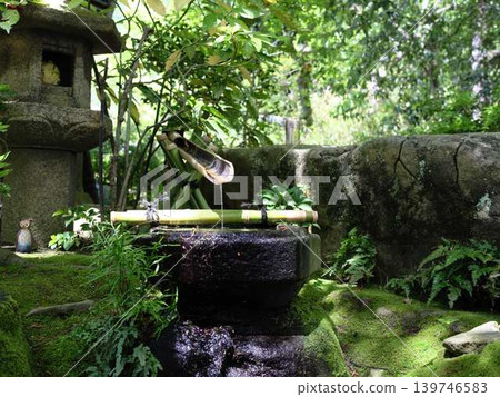 《Kagawa Prefecture》 Ritsurin Garden / Waterside / Pond 《Kagawa Prefecture》 Ritsurin Garden / Waterside / Pond 139746583