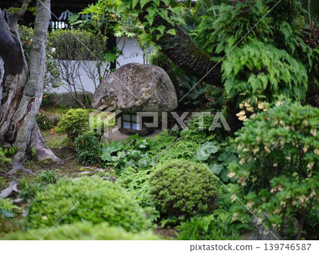 《Kagawa Prefecture》 Ritsurin Garden / Waterside / Pond 《Kagawa Prefecture》 Ritsurin Garden / Waterside / Pond 139746587