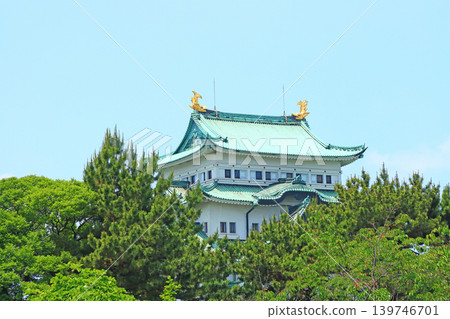 A view of Nagoya Castle amidst fresh greenery in Nagoya City, Aichi Prefecture. A view of Nagoya Castle amidst fresh greenery in Nagoya City, Aichi Prefecture. 139746701