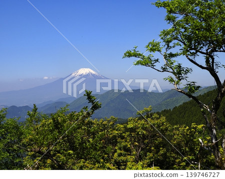 從丹澤山脈(神奈川縣)的二之頭眺望富士山,周圍綠意盎然。 從丹澤山脈(神奈川縣)的二之頭眺望富士山,周圍綠意盎然。 139746727