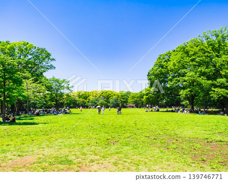 Yoyogi Park in Tokyo, lush greenery Yoyogi Park in Tokyo, lush greenery 139746771