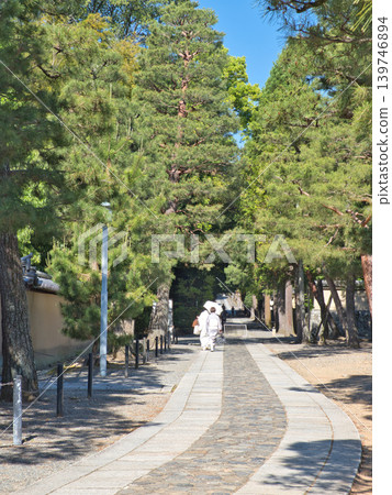 A woman in a kimono walks along a path surrounded by fresh greenery. 139746894