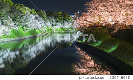 東京的千鳥淵（Chidorigafuchi）春日美景：夜晚燈光映照下的櫻花，令人嘆為觀止 [東京千代田區] 139746928