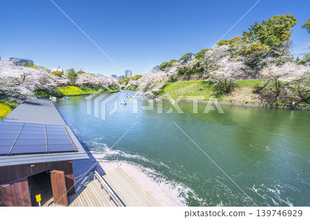 春天的千鳥淵：櫻花盛開的城市景觀 [東京都千代田區] 139746929