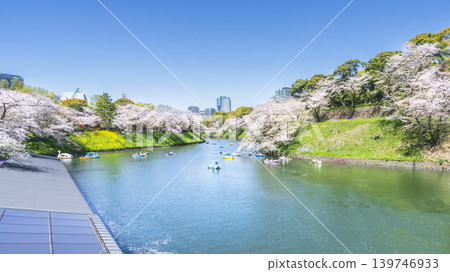 千鳥淵公園的春天：櫻花與城市景觀在藍天映襯下熠熠生輝 [東京千代田區] 139746933