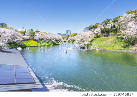 Springtime Chidorigafuchi: Cityscape with cherry blossoms in bloom [Chiyoda Ward, Tokyo] 139746934
