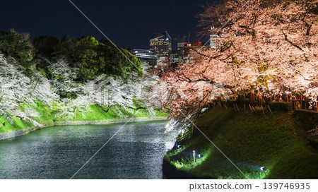 Chidorigafuchi, a famous cherry blossom viewing spot in Tokyo: Nighttime view of illuminated cherry blossoms [Chiyoda Ward, Tokyo] 139746935