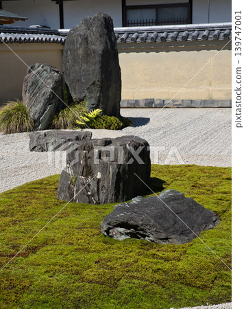 有岩石花園的花園 139747001