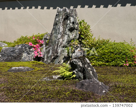 一個有石頭和杜鵑花的花園 一個有石頭和杜鵑花的花園 139747002