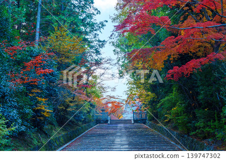 Komyoji Temple surrounded by autumn leaves Komyoji Temple surrounded by autumn leaves 139747302