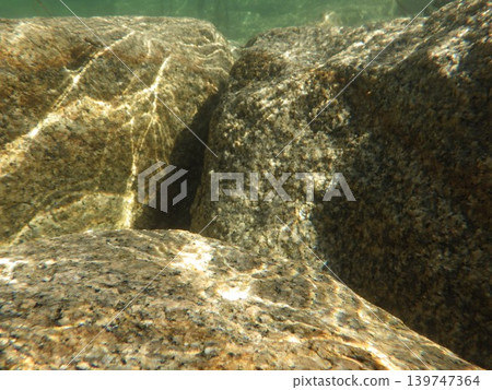 Underwater photograph Underwater photograph 139747364