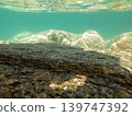Underwater photograph 139747392