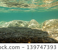 Underwater photograph 139747393