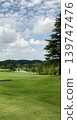 A beautiful golf course with a pond. 139747476