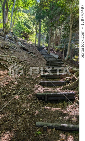 通往福井縣美濱町國吉城的山路 通往福井縣美濱町國吉城的山路 139747497
