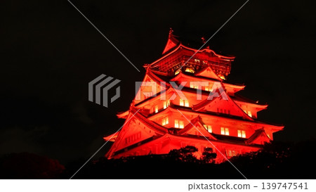 Japanese castles illuminated at night Japanese castles illuminated at night 139747541