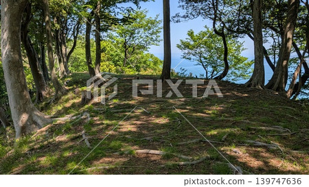 福井縣美濱町國吉城:石牆與土方工程 福井縣美濱町國吉城:石牆與土方工程 139747636