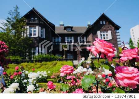 古河花園和玫瑰花盛開 古河花園和玫瑰花盛開 139747901